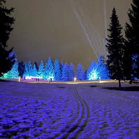 Balcon Sur Les Alpes A Crans-montana Apartamento