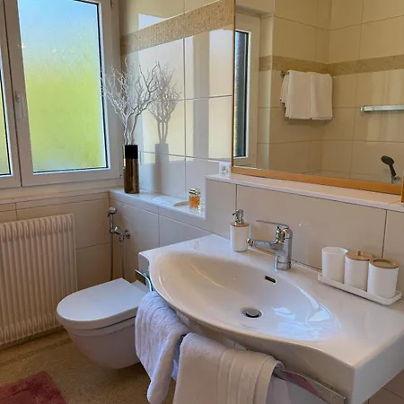 Apartamento Balcon Sur Les Alpes A Crans-montana Lens
