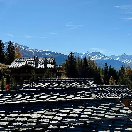 公寓 Balcon Sur Les Alpes A Crans-montana 朗斯