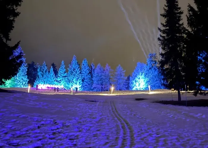 Balcon Sur Les Alpes A Crans-montana 公寓