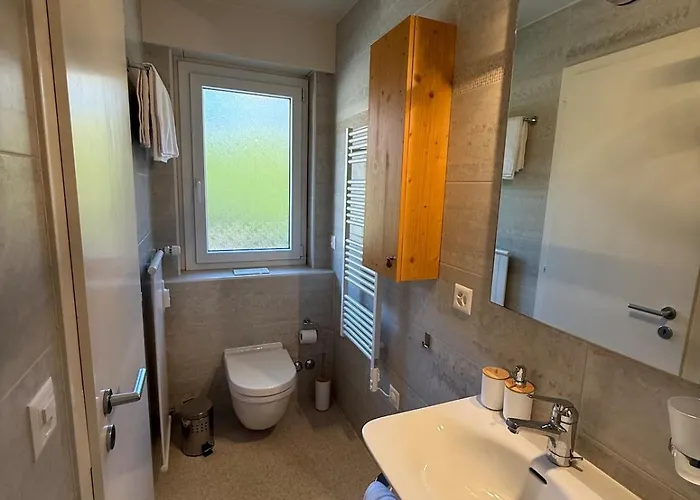 Balcon Sur Les Alpes A Crans-montana Διαμέρισμα Lens