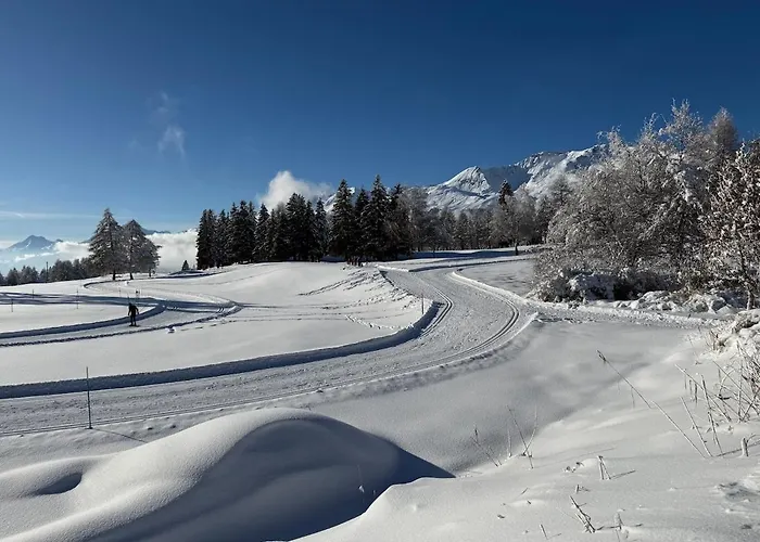 Balcon Sur Les Alpes A Crans-montana アパート *