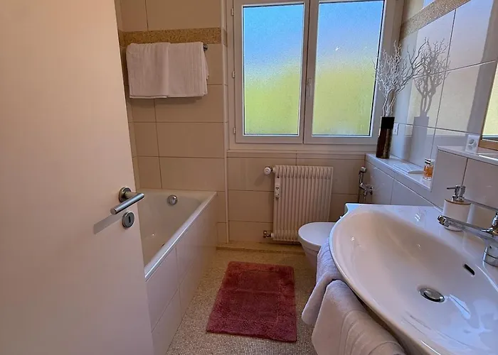 Balcon Sur Les Alpes A Crans-montana * 朗斯